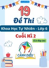 Tổng hợp 19 Đề thi KHTN 6 cuối Kì 2 Cánh Diều (Kèm đáp án)